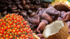 AGRICOM