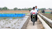Agricom