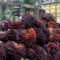 AGRICOM