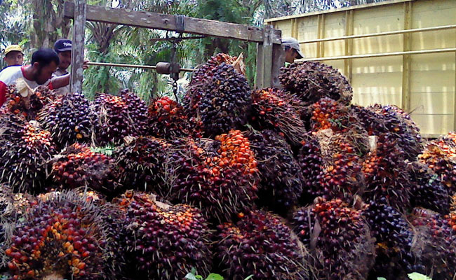 AGRICOM