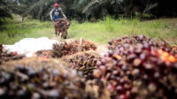 AGRICOM