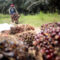 AGRICOM