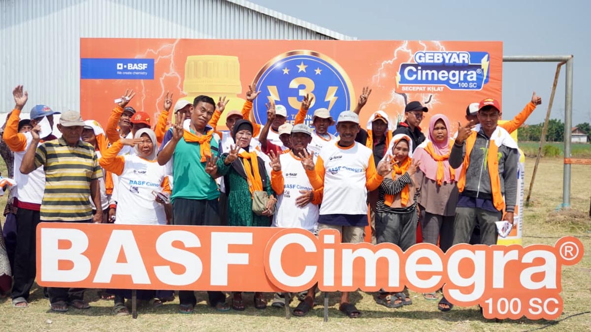 Tiga Tahun Cimegra di Indonesia, BASF Perkuat Pengendalian Hama Bawang Merah di Brebes AGRICOM