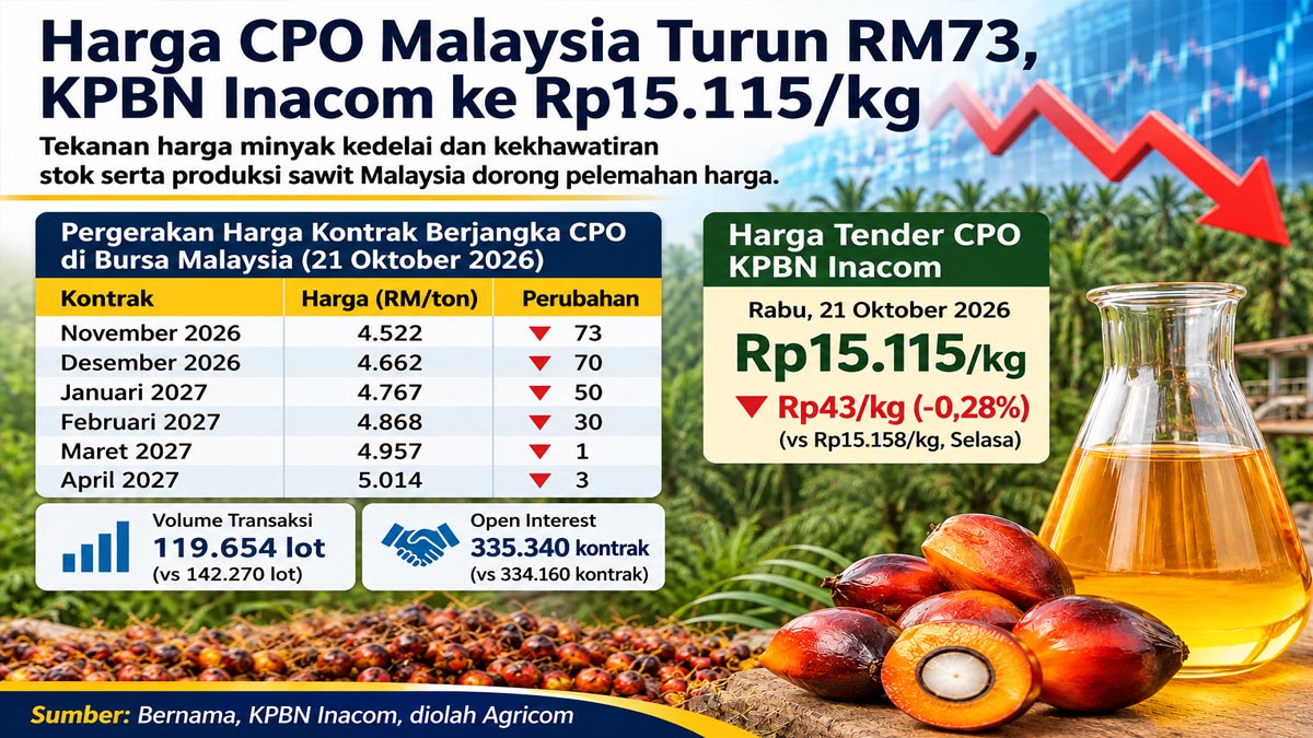 Harga CPO Malaysia Turun RM73, KPBN Inacom Terkoreksi ke Rp15.115 per kg pada 21 Oktober 2026 AGRICOM