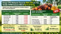Harga CPO Malaysia Turun ke RM4.558 per Ton, Tender KPBN Inacom WD di Rp15.018 per Kg AGRICOM