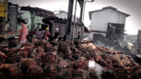 AGRICOM