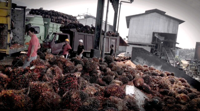 AGRICOM