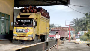 AGRICOM